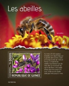 Guinea - 2019 Bees on Stamps - Stamp Souvenir Sheet - GU190314b