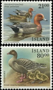 Iceland 1990 Sc 686-687 Birds Wigeon Goose CV $5.75