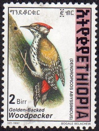 Ethiopia 1486 - Used - 2b Golden-backed Woodpecker (1998) (cv $1.25)