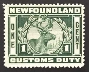 Newfoundland NFC4 F-VF Used