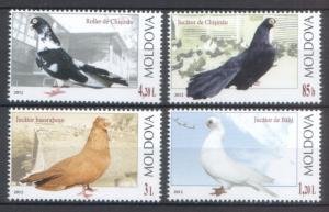 Moldova 2012 Birds Pigeons 4 MNH stamps