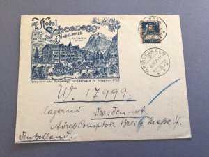 Hotel Schoenegg Grindelwald 1925 to Dresden   postal cover  62588 