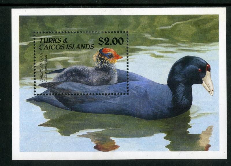 TURKS & CAICOS 868 MH S/S SCV $5.25 BIN $2.25 BIRDS