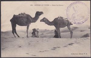 ALGERIA 1919 military postcard - 'Sahara Company' handstamp etc............53656