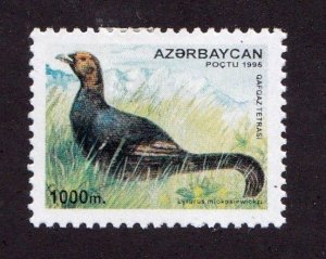 Azerbaijan stamp #545, MH, topical, Birds, CV $2.50