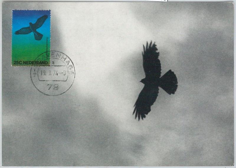 63610  -  NETHERLANDS - POSTAL HISTORY: MAXIMUM CARD 1974 -  BIRDS