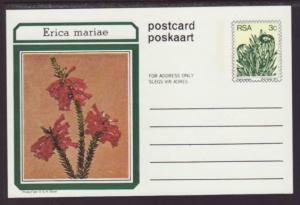 South Africa Flower  Postal Card Unused 