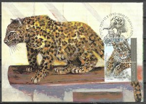 Israel 1992 Leopard The Zoological Center Ramat Gan Maximum Card 