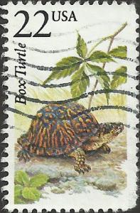 # 2326 USED BOX TURTLE