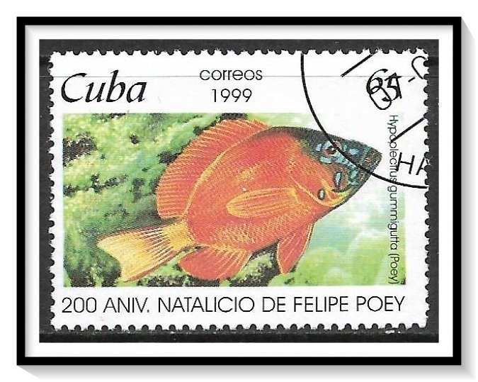Caribbean #4010 Fish CTO