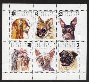 Bulgaria 3640a MNH Animals, Dogs