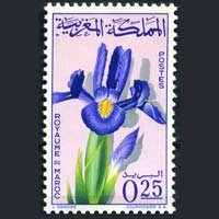 MOROCCO 1965 - Scott# 115 Flower 25c NH