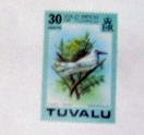 Tuvalu - 75, MNH. Fairy Tern. SCV - $2.40