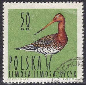 Poland 1233 Black-Tailed Godwit 50GR 1964