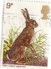 Great Britain 1977- British Wildlife Brown Hare - used
