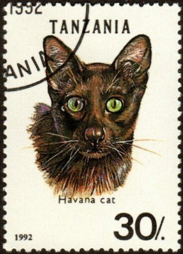 Tanzania 967B - Cto - 30sh Havana Cat (1992) (cv $0.65)