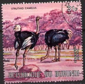 Bird, Ostriches, Burundi stamp SC#C151c used