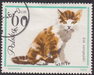 Poland 1219 European House Cat 1964