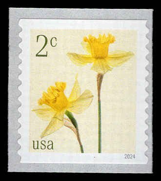 USA 5903 Mint (NH) Daffodils (Additional Postage 2c) Coil Stamp