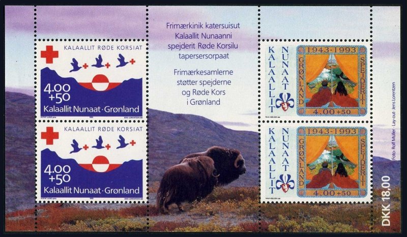 Greenland B17-B18a sheet,MNH.Michel 236-237 Bl.4.Red Cross,Birds.Boy Scouts,1993