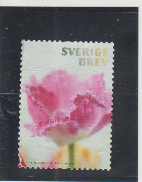 Sweden  Scott#  2836a  Used  (2019 Tulip)