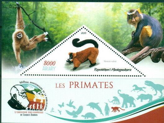 MONKEY APES PRIMATES FAUNA CHARLES DARWIN MADAGASCAR 2019 MNH STAMP SET 4 SHEETS