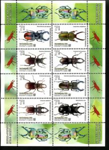 KALMYKIA RUSSIA LOCAL SHEET INSECTS BEETLES