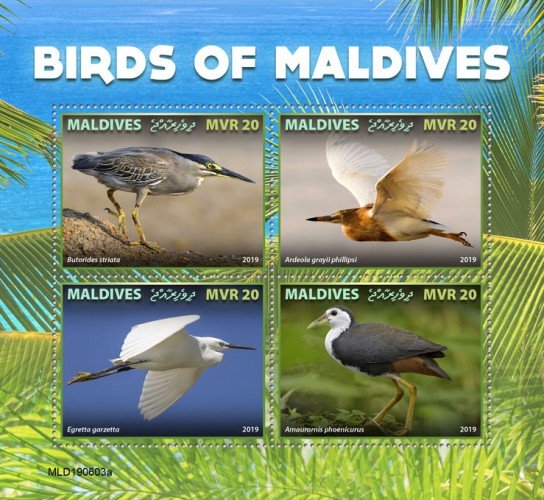 MALDIVES - 2019 - Birds of the Maldives - Perf 4v Sheet - MNH