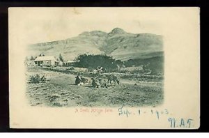 1903 Mozambique South Africa Farm Postcard Cover to USA