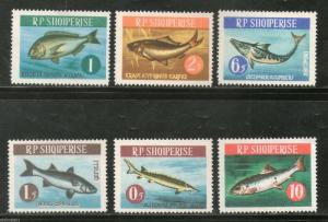 Albania 1964 Fishes Marine Life Animal Sc 716-21 MNH # 0026