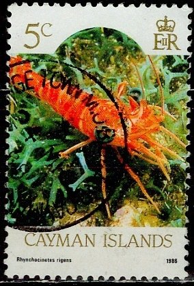 Cayman Islds.; 1986: Sc. # 562: Used Single Stamp