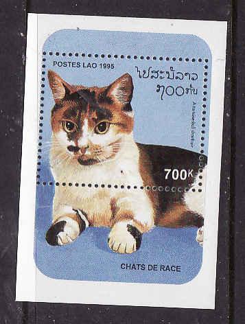 Laos-Sc#1236-unused NH sheet-Tortoise-Shell Shorthair-Cats-Animals-1995-