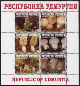 UDMURTIA SHEET MUSHROOMS 
