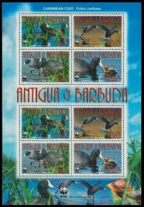Antigua and Barbuda - 2009 Birds WWF Caribbean Coot Sheet of 8 - MNH