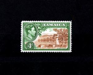 JAMAICA - 1938 - KG VI - CITRUS GROVE - # 122 - MINT - MNH SINGLE!