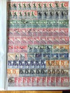 Red Stock Book Full Of Very Old Turkey & Norway Stamps  VERY CLEAN VERY NICE