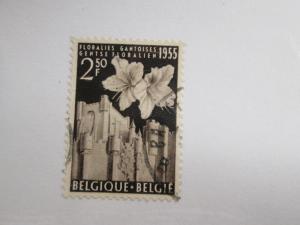 Belgium #483 used