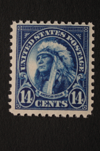 United States #565 14 Cent American Indian 1923 MNH