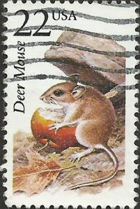 # 2324 USED DEER MOUSE