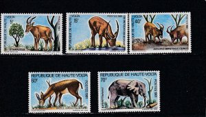 Burkina Faso # 577-581, Protected Animals, Mint NH, 1/2 Cat.