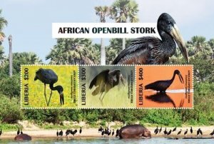 Liberia 2019 - African Openbill Stork Bird- Sheet of 3 stamps - Scott #3312- MNH