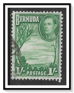 Bermuda #122 Grape Bay Used