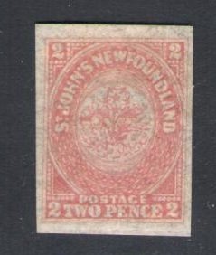 1862-64 Newfoundland - Stanley Gibbons #17 - 2d. rose lake - MH*