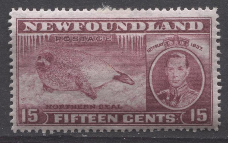 Newfoundland #239 15c Br. Brown Purple 1937 Long Coronation Perf. 14.25 F-70 OG