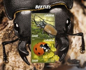 Liberia - 2020 Beetles on Stamps - 2 Stamp Souvenir Sheet - LIB200227b