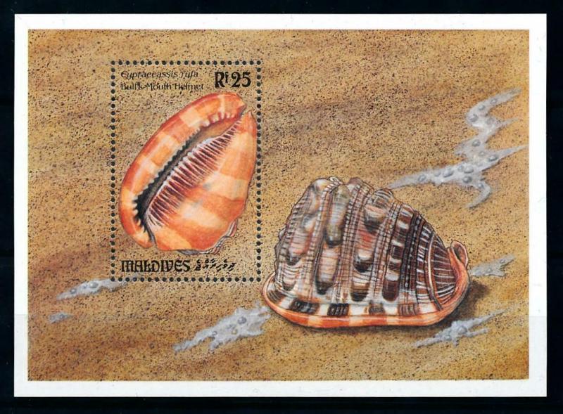 [99594] Maldives 1993 Marine Life Sea shells Souvenir Sheet MNH