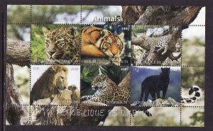 Djibouti-unused NH sheet of 6-Animals-Tigers-Cats-Lions-2012-issue