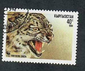 Kyrgyzstan #32 Leopard used single