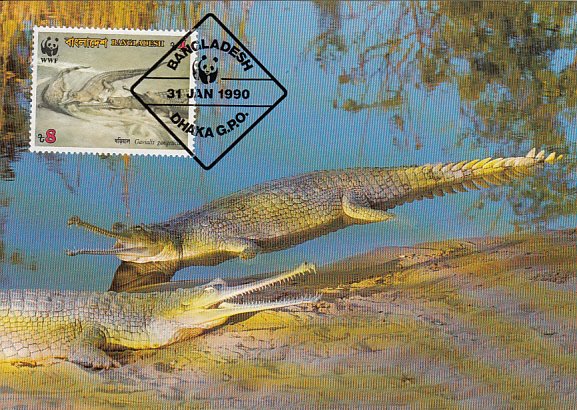 Bangladesh 1990 Maxicard Sc #342 8t Gravial crocodile WWF