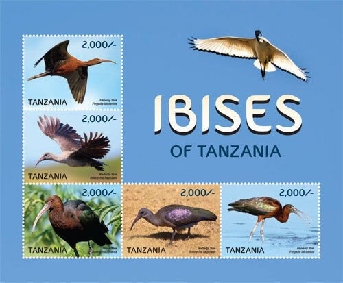 Tanzania 2015 - Ibises of Tanzania Sheet of 5 Stamps MNH